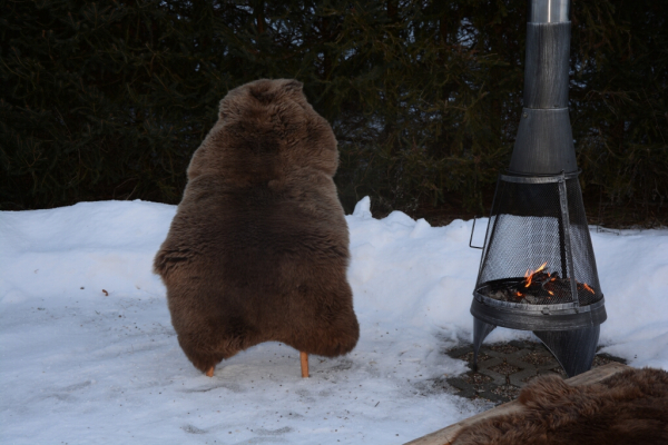 Romanov-Edelschaffell (öko) I